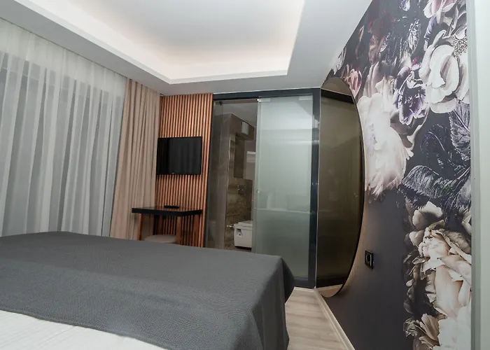 Fama Karakoey Hotel Istanbul