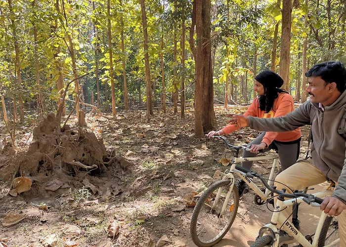 Kanha Jungle Camp