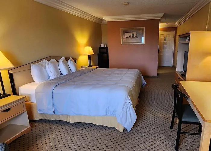 Super 8 By Wyndham Temple I-35 Hotel