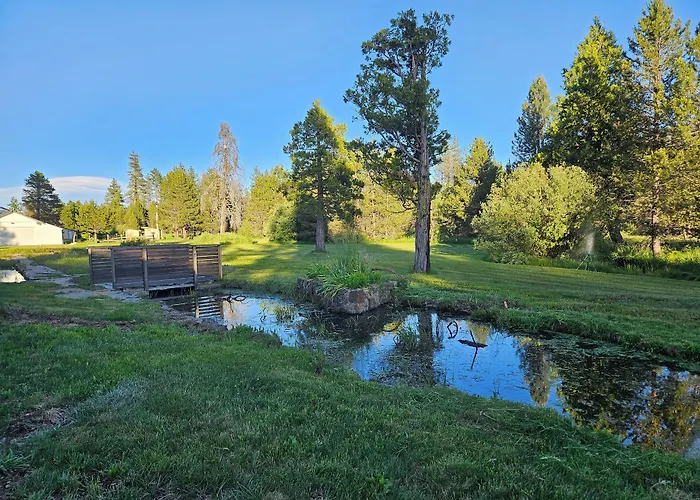 The Black Forest Lodge Red Bluff