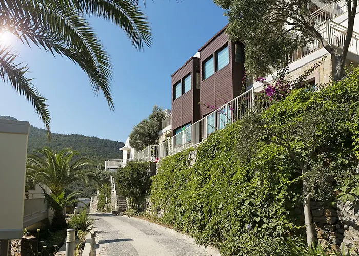 Duja Bodrum Torba
