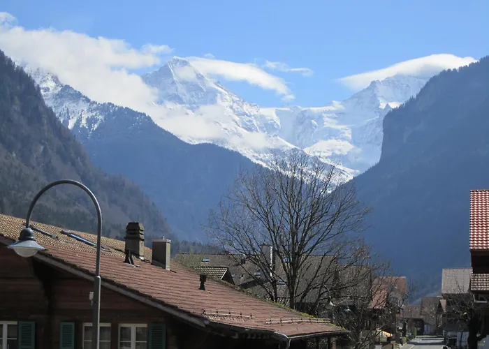 Baeren Hotel, The Bear Inn Wilderswil