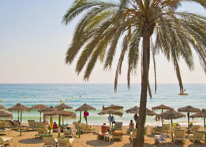 Nh San Pedro De Alcantara Marbella