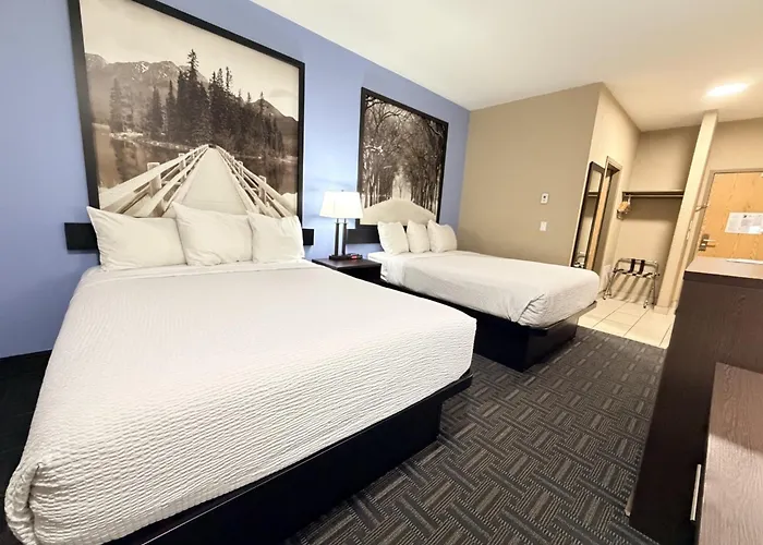 Super 8 By Wyndham Edmonton/West Hotel