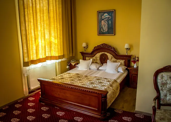 Hotel Astoria Satu Mare