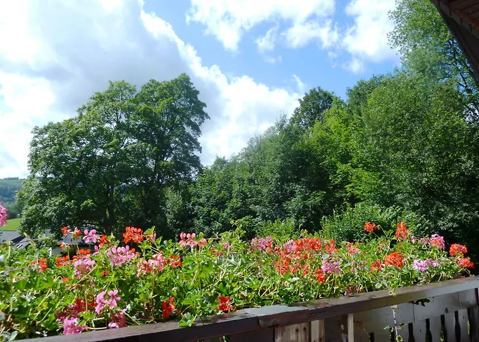 Pension Haus Waldfrieden Willingen 