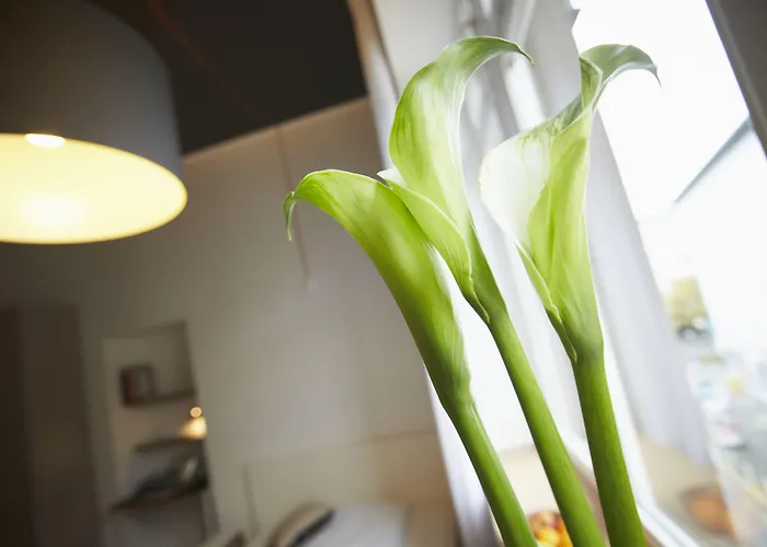 Aparthotel TU-TU Essen