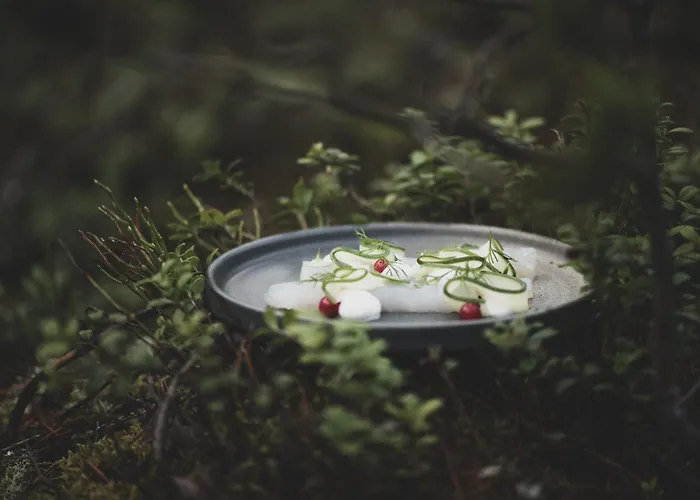 Aurora Igloo, Sauna Spa & Dinner By Invisible Forest Lodge Adults Only Rovaniemi