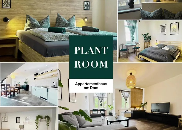 Apartmenthaus am Dom - Küche, Wifi, TV Halle 