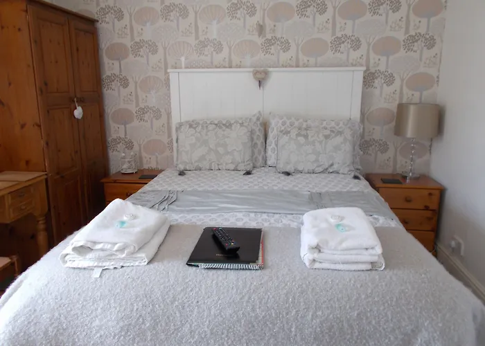 The White Lion Hotel Machynlleth