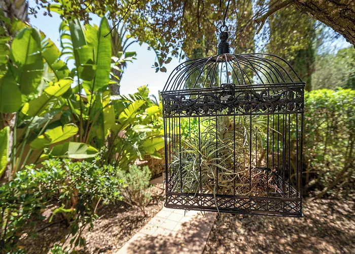 Agroturismo Finca Son Jorbo - Adults Only Porreras