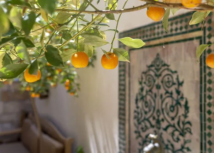 Arabesque Arts & Residency Bed & Breakfast Acre