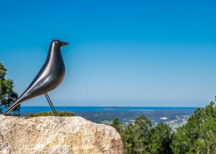 Blackbird Luxury Accommodation Mullumbimby