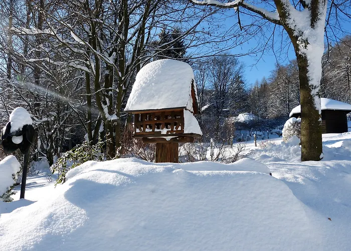 Hotel&Ferienappartements Edelweiss Willingen 