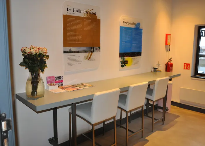 Hotel Rauw aan de Kade IJmuiden