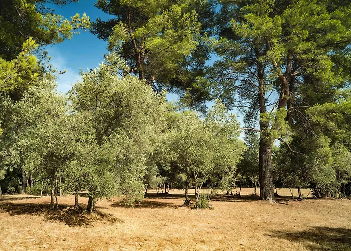 Domaine De Saint Clair Bed & Breakfast Aix-en-Provence