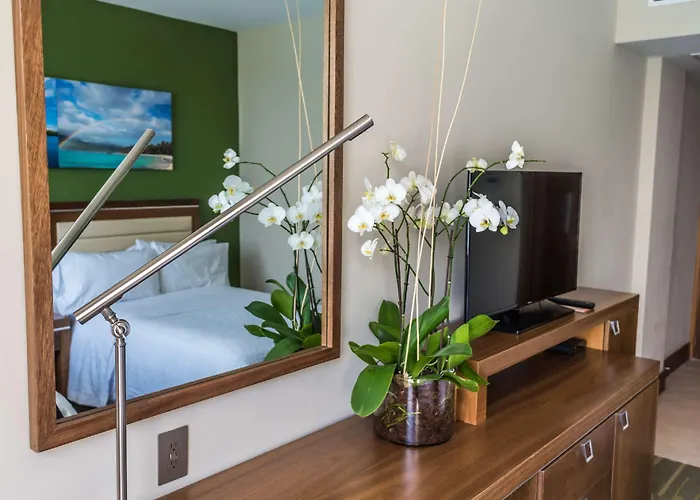 Hampton By Hilton Santo Domingo Airport Hotel Boca Chica 