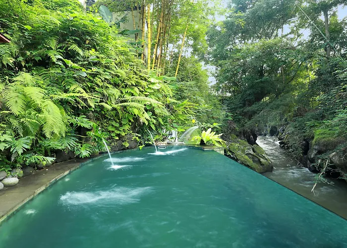 Seres Springs Resort & Spa, Singakerta Ubud 