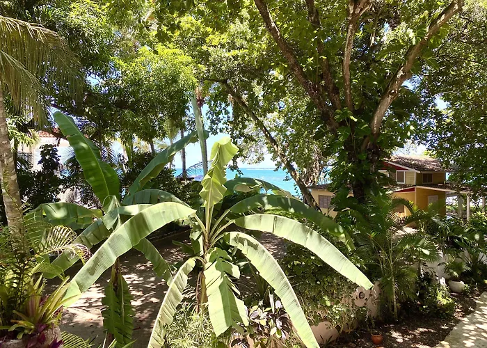 Hotel Alegria Cabarete