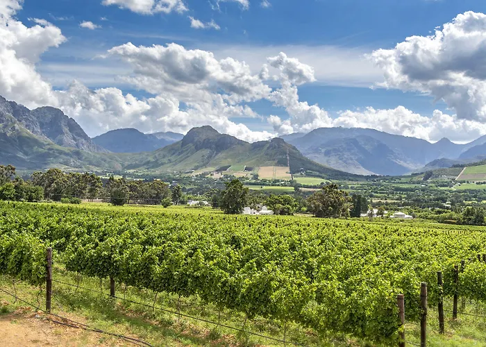 La Fontaine Boutique Hotel By The Oyster Collection Franschhoek