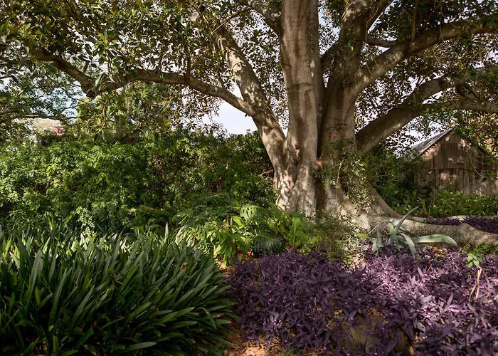 The Barracks, Tocal Bed & Breakfast Paterson