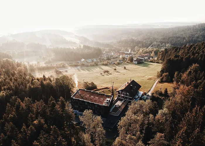 Hotel Fritz Lauterbad Freudenstadt