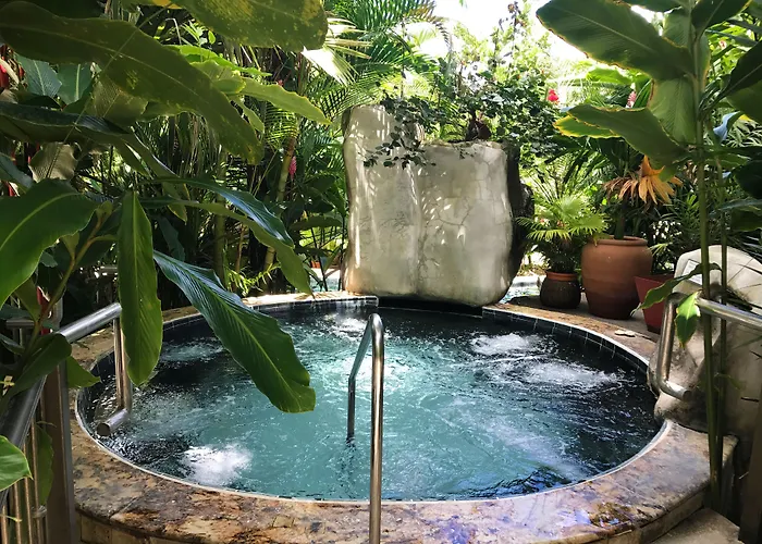 Paradise Hot Springs Thermal Resort La Fortuna