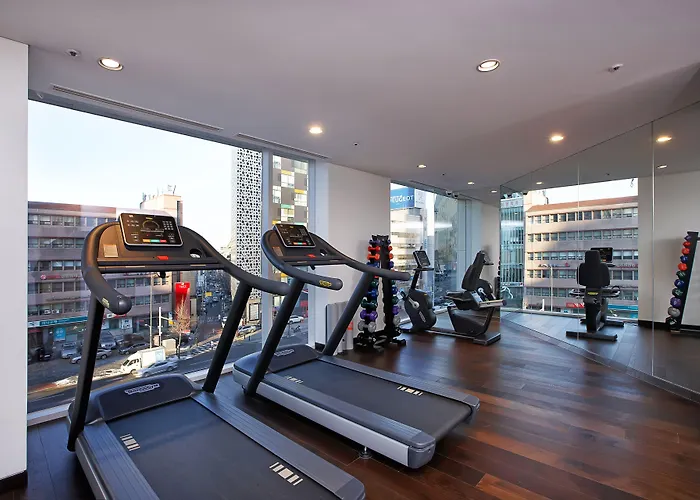 Hotel Entra Gangnam Seoul