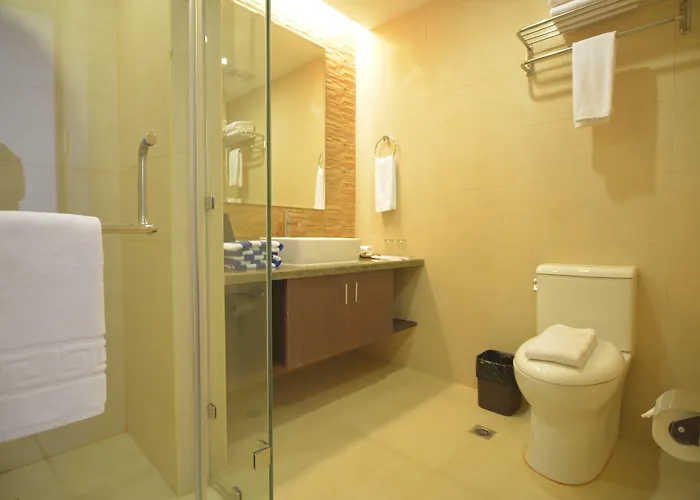 Aureo La Union Hotel San Fernando City 