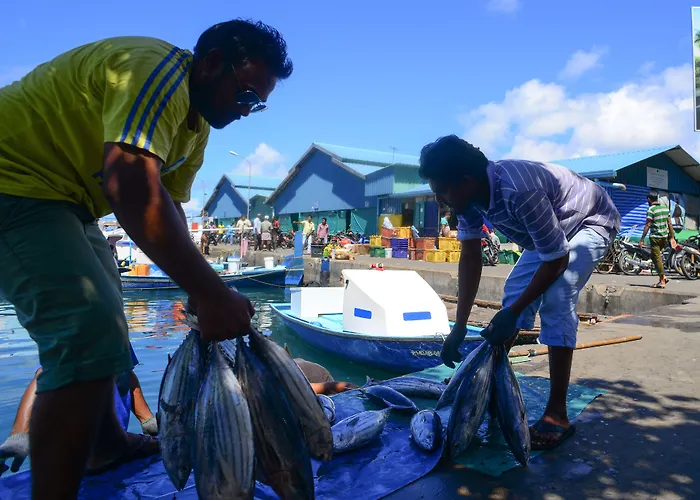 Noomoo Hulhumale Hotel