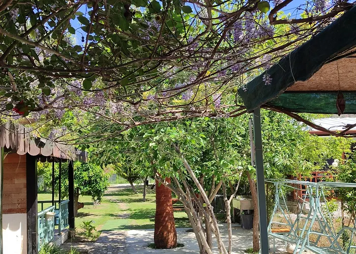 Flora Pansiyon Çıralı
