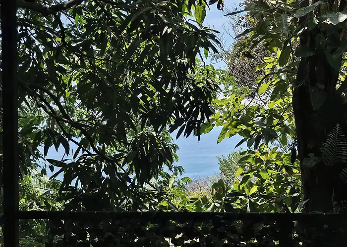 Mango Moon Villa Manuel Antonio