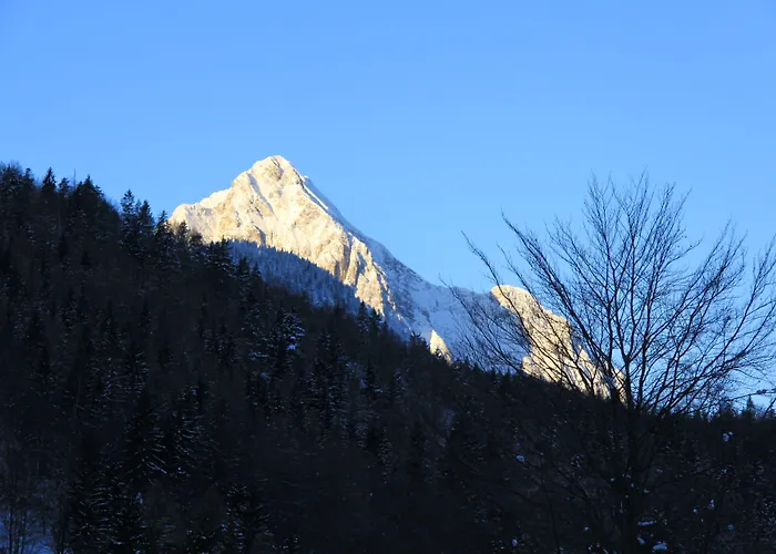 Hotel Franziska Mittenwald