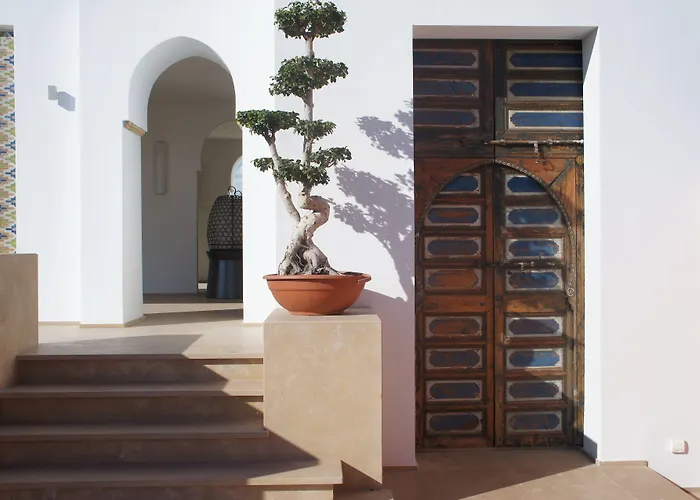 Euphoriad Rabat
