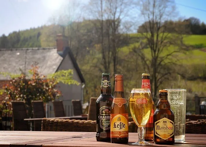 The Mount Inn Llanidloes
