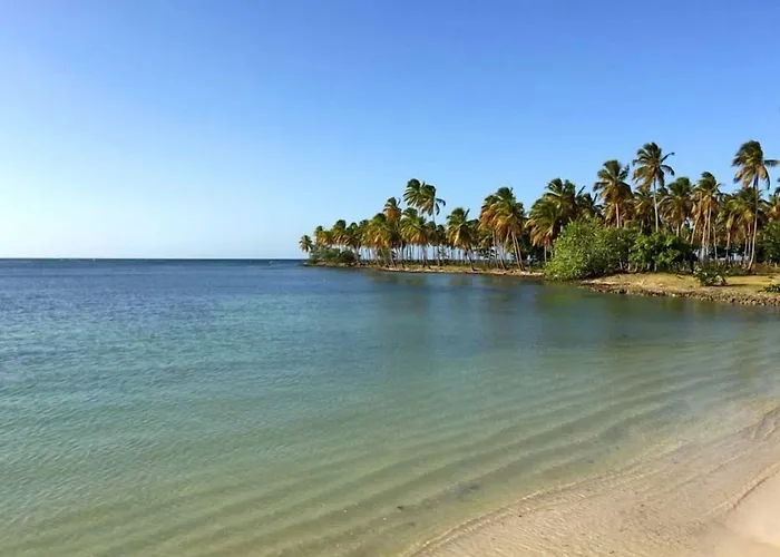 21 Palms Hotel Las Galeras