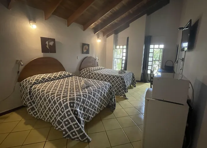 Hotel Ave Del Paraiso San José