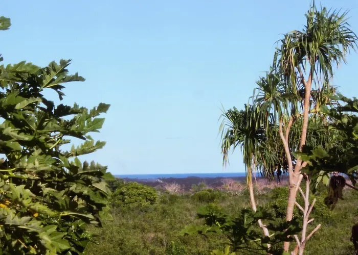 Kirpal Meditation And Ecological Center Pahoa