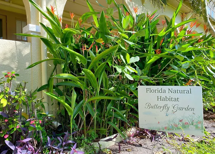Crystal Bay Historic Hotel St. Petersburg