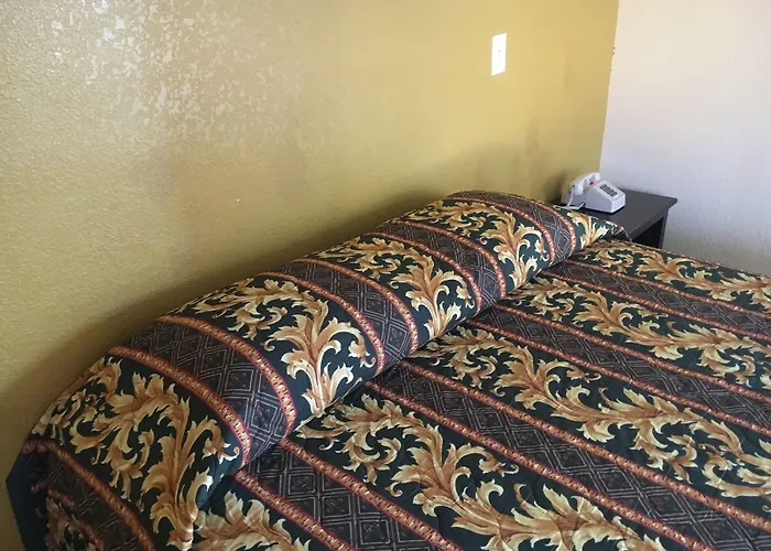 Satellite Motel, Los Angeles - LAX