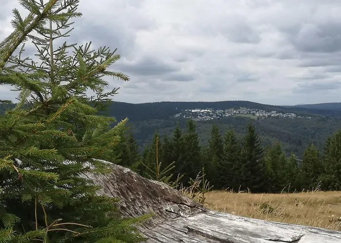 Hotel Schoene Aussicht Masserberg