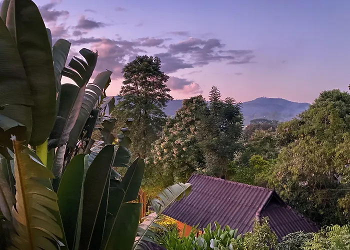 Pura Vida Pai Resort