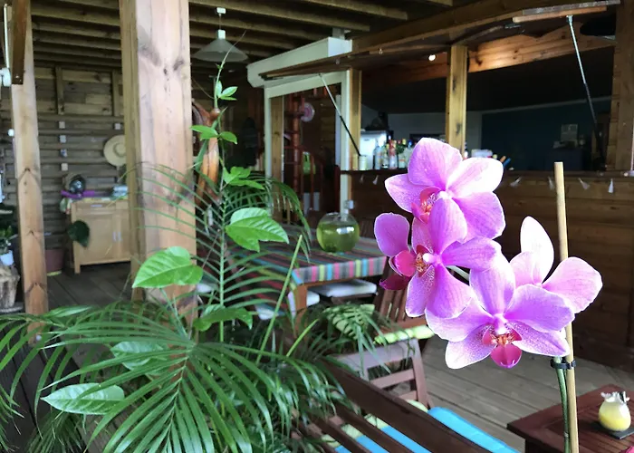 Residence Paradis Tropical Basse-Terre