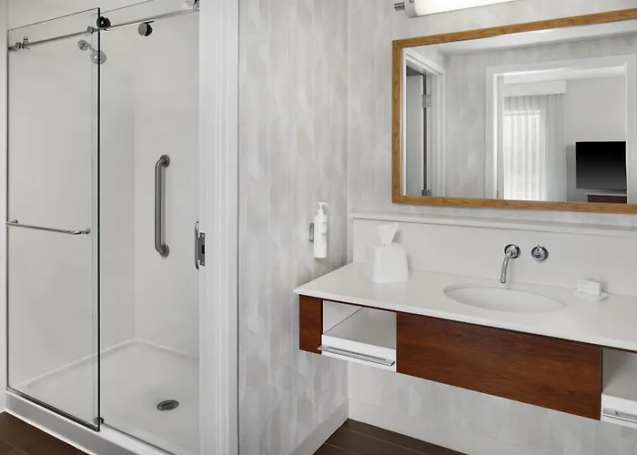 Hampton Inn & Suites Detroit/Troy Clawson