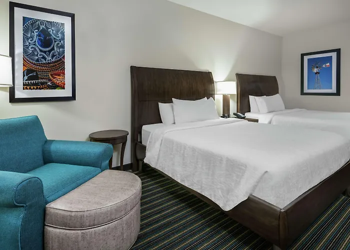 Hilton Garden Inn San Antonio/Rim Pass Drive