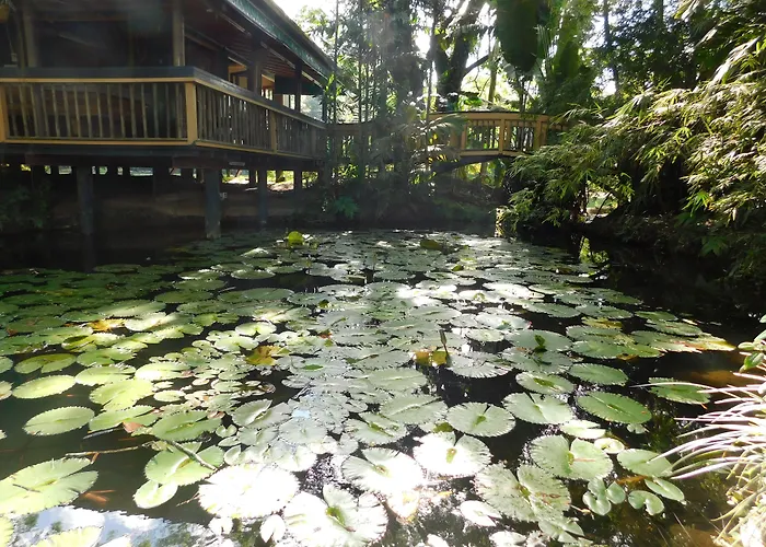 Rainforest Eco Lodge Suva