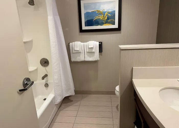 Courtyard By Marriott Asheville Airport Fletcher