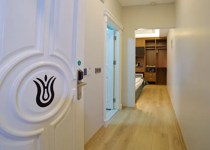 Hotel Black Tulip Estambul