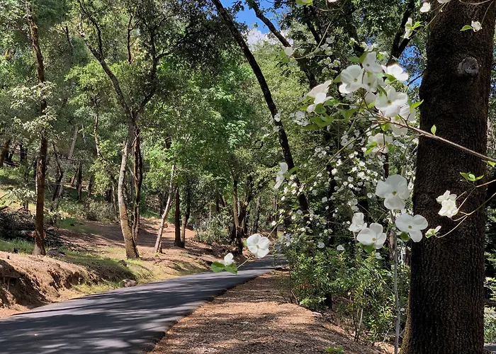 Meadowood Napa Valley St. Helena