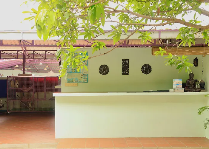Bird Of Paradise Bungalows Kep